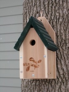 Chickadee nestbox photo