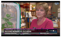 Linda Gorr on Kare11 Talks about Raising Monarchs at Eagan All Seasons Wild Bird Store