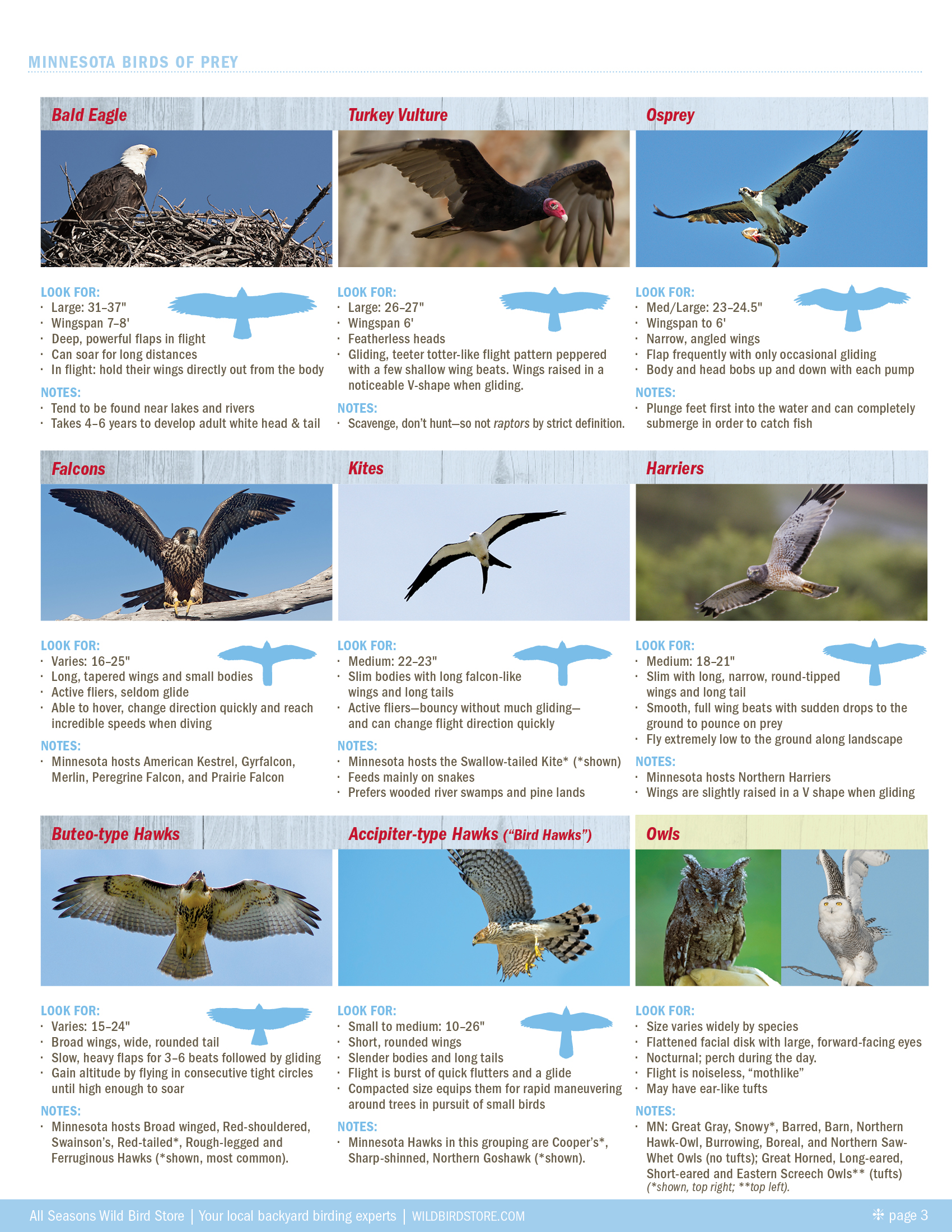 Raptors! A Guide to Minnesota's Birds of Prey All Seasons Wild Bird Store