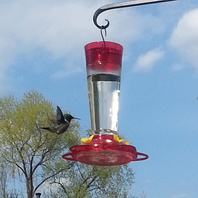 Inverted style hummingbird feeder