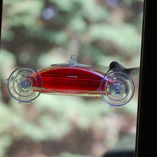 Window nectar feeder with hummingbird