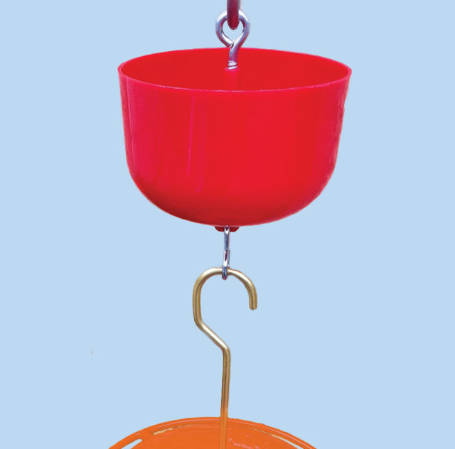 An upside-down cup-shaped ant moat with an oriole feeder hanging below it.