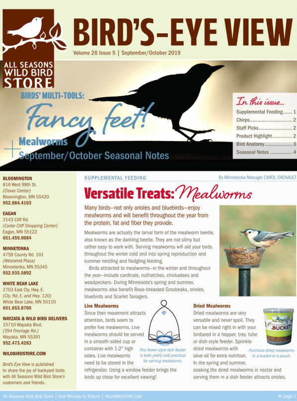 Bird's-Eye Newsletter example cover