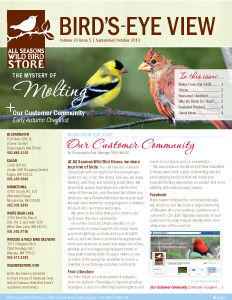 Sept Oct 2013 BEV newsletter cover