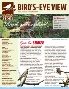 Mar/Apr 2020 Bird's-Eye View newsletter cover
