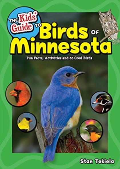 Tips for Identifying Birds - All Seasons Wild Bird Store