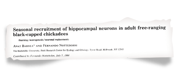 A headline from the Proceedings of the National Academy of Science article about chickadee brain cell changes.