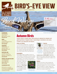 September/October Bird's-Eye View Newsletter 2022