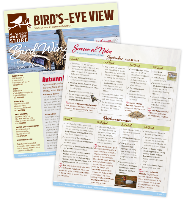 September 2022 Bird's-Eye View Newsletter cover and back