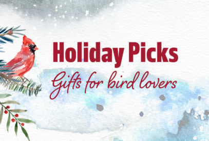 holiday picks for bird lovers