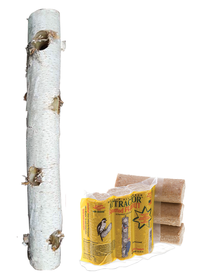 Birch log suet feeder and suet plugs