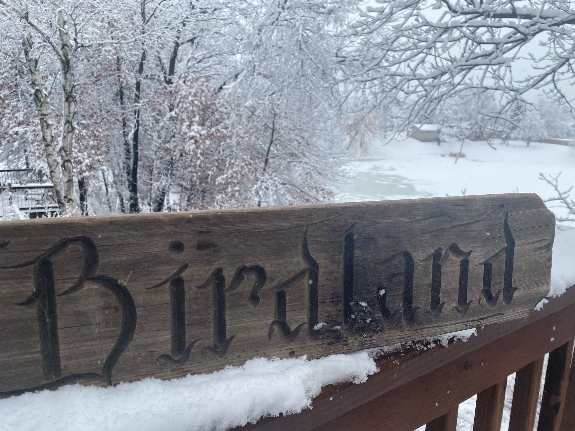 A Family's Bird Feeding Story All Seasons Wild Bird Store