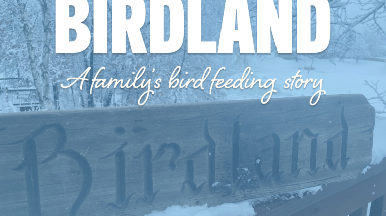 Birdland: a family's bird feeding story