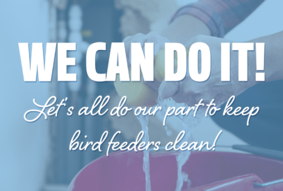 We can do it! Let's all do our part to keep feeders clean.