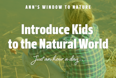 Ann's Window to Nature: Introduce Kids to the Natural World: Just an hour a day . . .