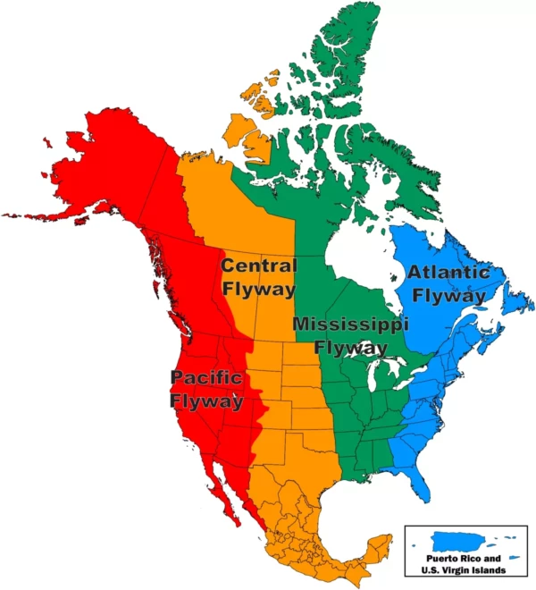 Migratory bird program administrative flyways state and province map from the US Fish and Wildlife Service
