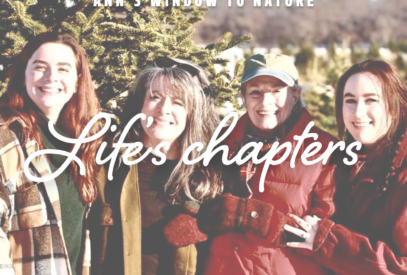 Ann's Window to Nature: Life's Chapters