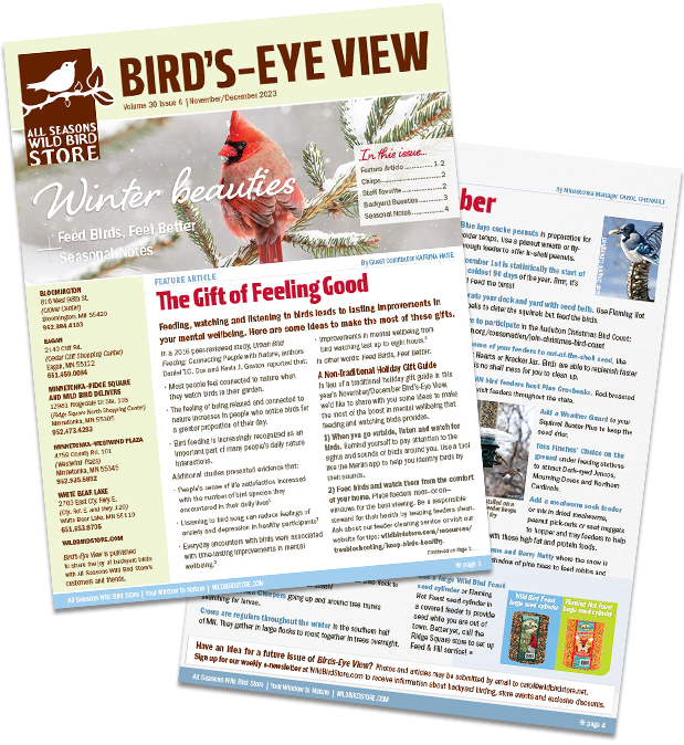 November/December 2023 Bird's Eye View Newsletter cover