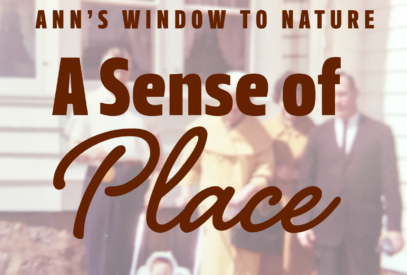 Ann's Window to Nature: A Sense of Place