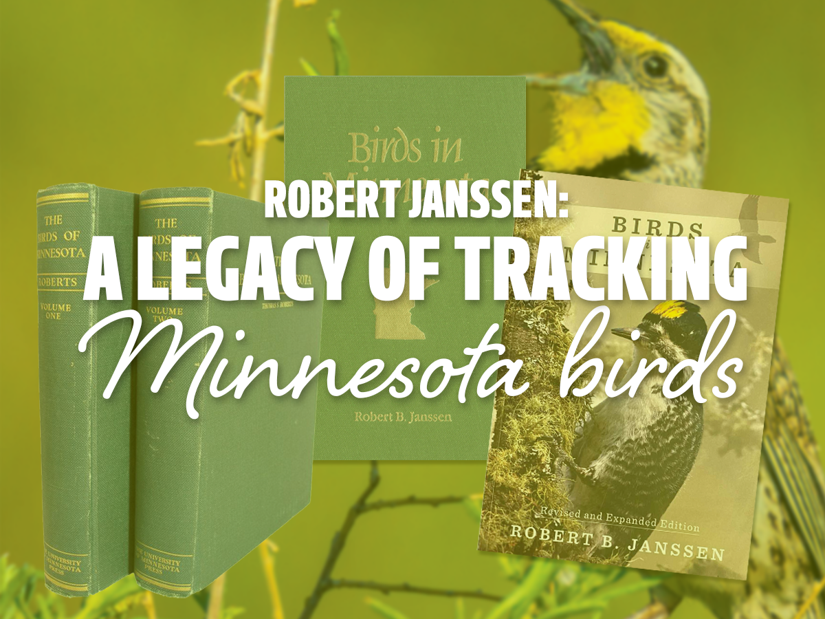 A Legacy of Tracking MN Birds All Seasons Wild Bird Store