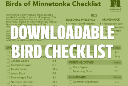 Downloadable bird checklist