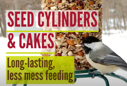 Seed cylinders and cakes: Long-lasting, less mess feeding