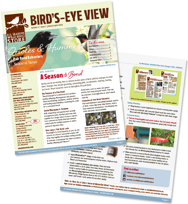 March/April 2024 Bird's-Eye View Newsletter covers
