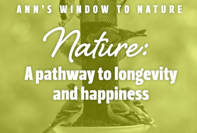 Nature: a pathway to longevity and happiness