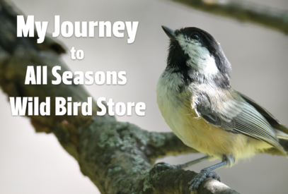 My Journey to All Seasons Wild Bird Store