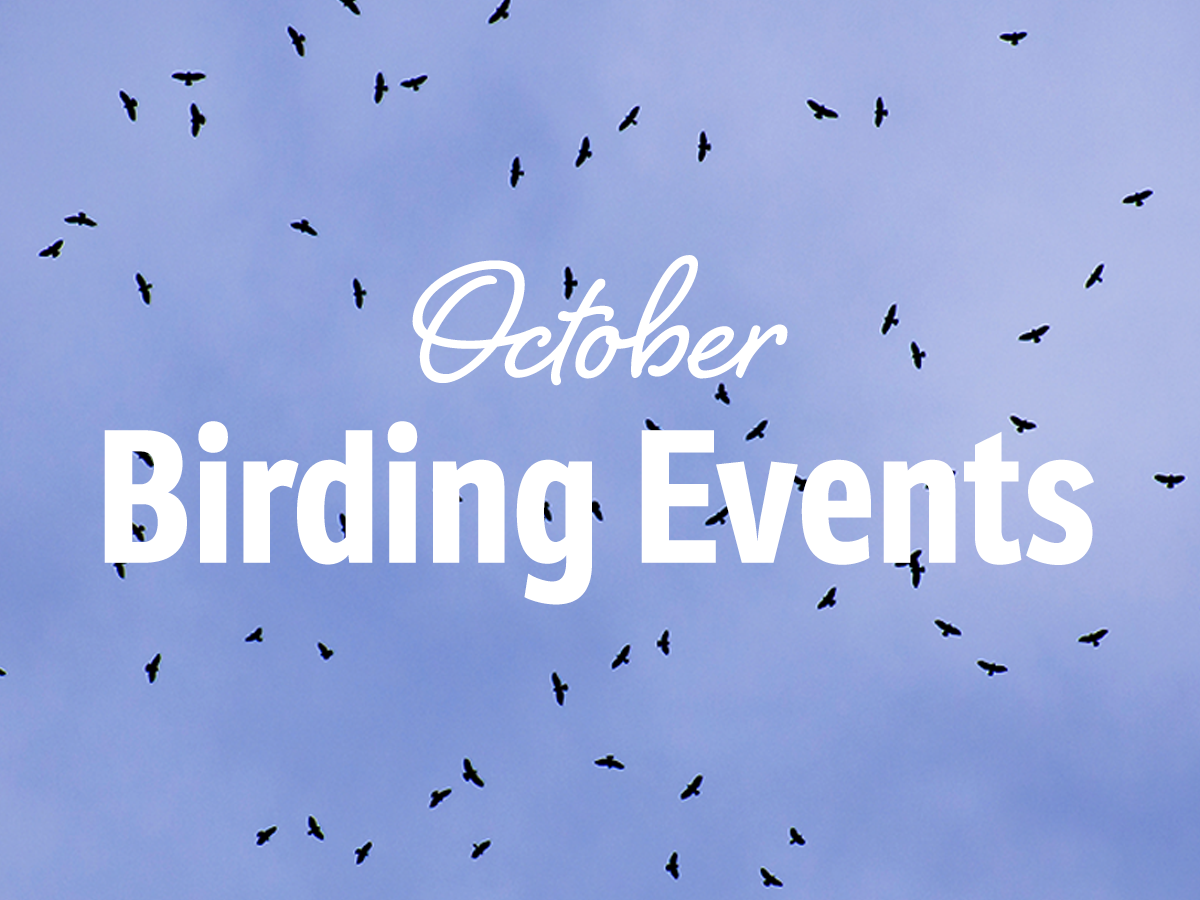 October Birding Events