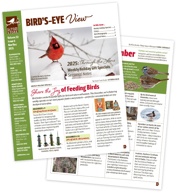 November/December 2025 Bird's-Eye View newsletter covers