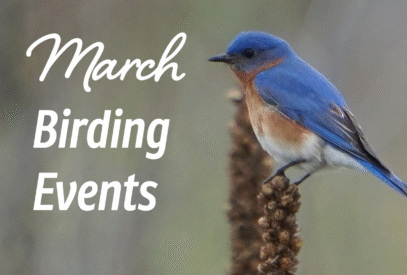 March Birding Events