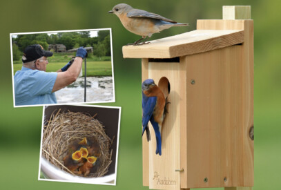 George Brown Bluebird Event